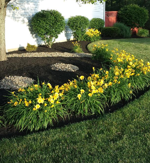Flowerbed with mulch and precise edging